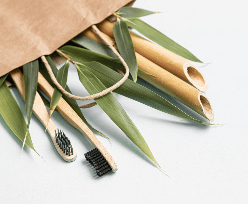 Bamboo